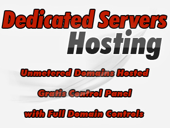 Inexpensive dedicated server hosting services